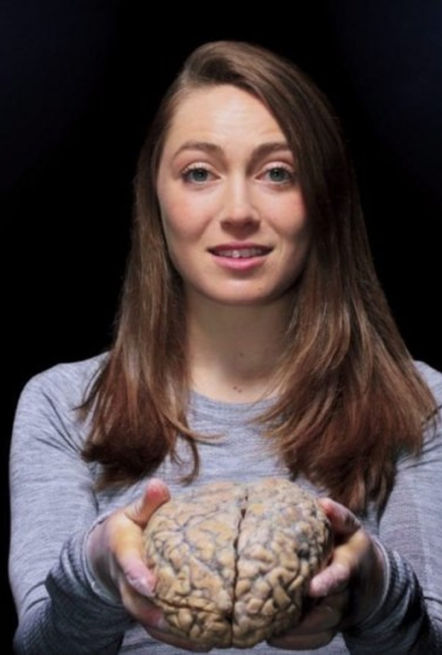 اسباب ارتجاج المخ وطرق علاجه