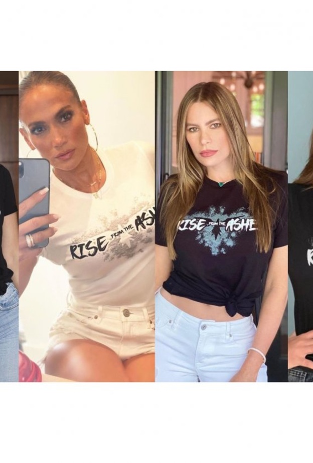 نجمات إنضممن لحملة زهير مراد