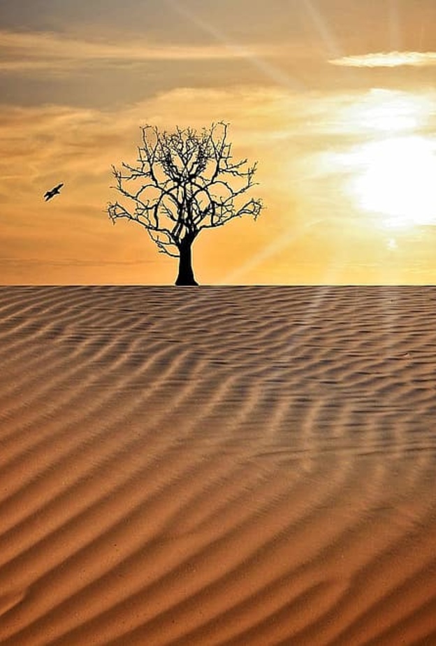  أهمية ارتداء الكمامة أثناء الخروج للوقاية من كورونا