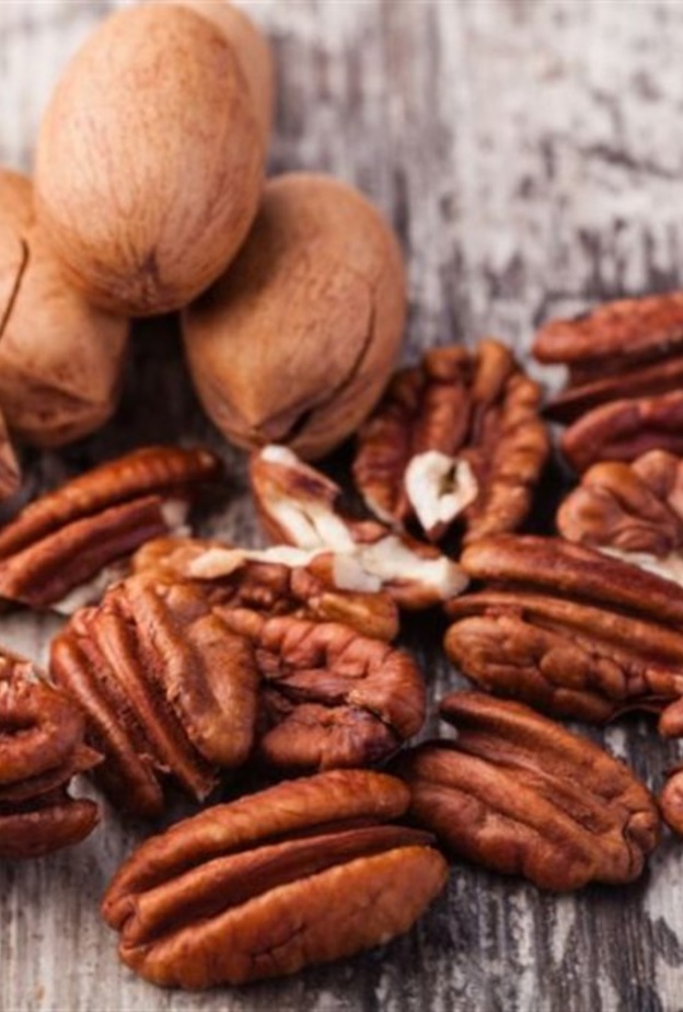 فوائد جوز البقان الصحية