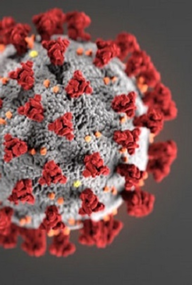 مساعد وزير الصحة المتحدث الرسمي للوزارة د. محمد العبدالعالي.