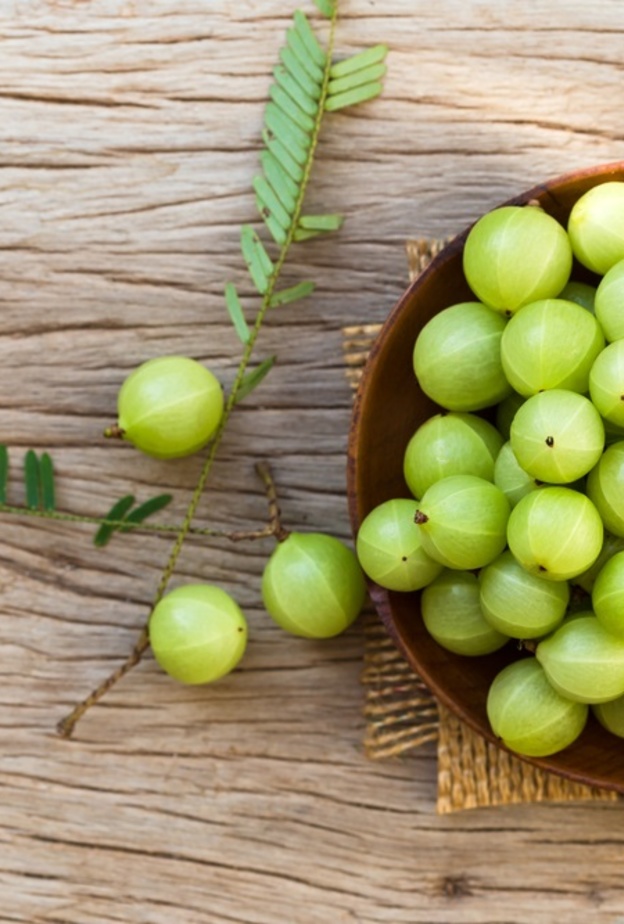 فوائد عنب الثعلب الصحية والجمالية