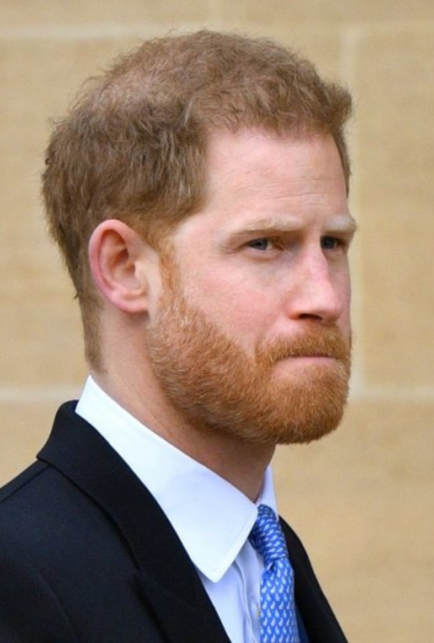 على خطى والدته.. امتيازات ملكية خسرها الأمير هاري والأميرة ديانا