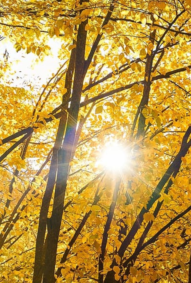 فصل الخريف يبدأ فلكيا يوم الثلاثاء 22 سبتمبر 2020 