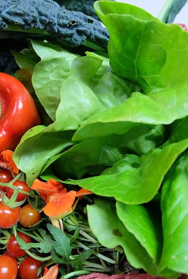 الخضروات والفواكه