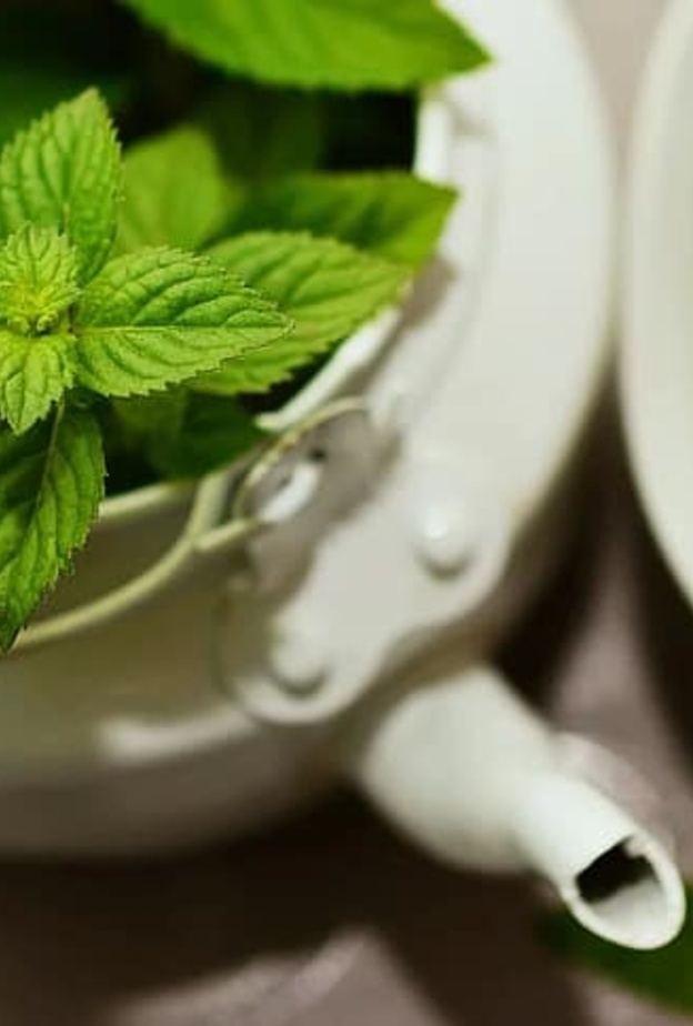 هل الأعشاب تقي أو تقضي على فيروس كورونا المستجد؟