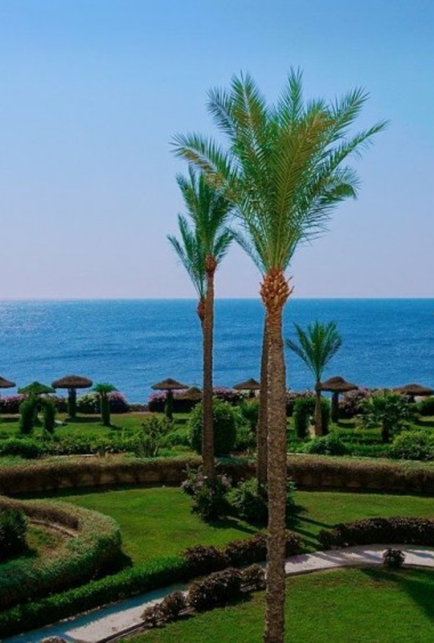 متعة الاستجمام في مصر بواسطة dps199