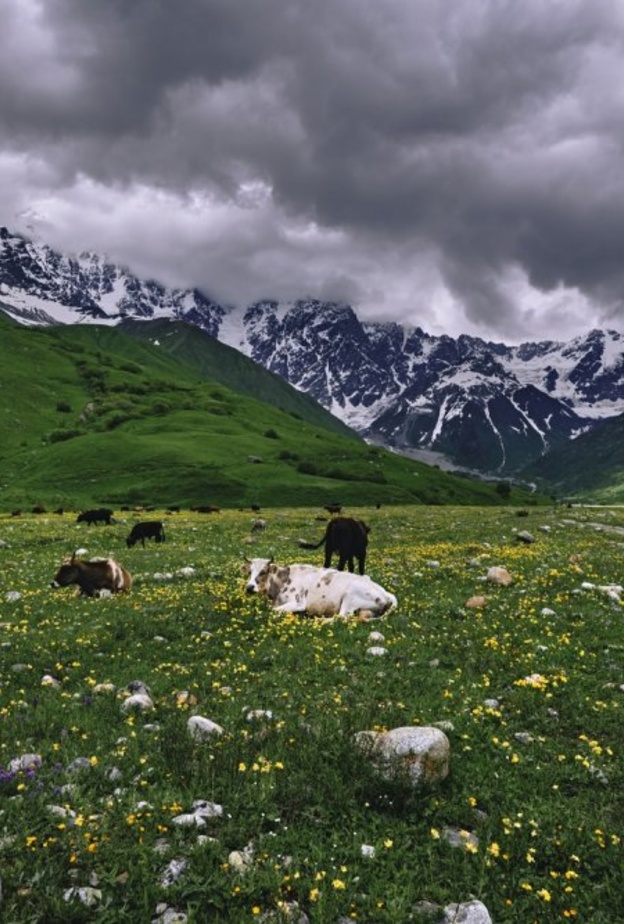أوشغولي Ushguli-Hikersbay Hikersbay