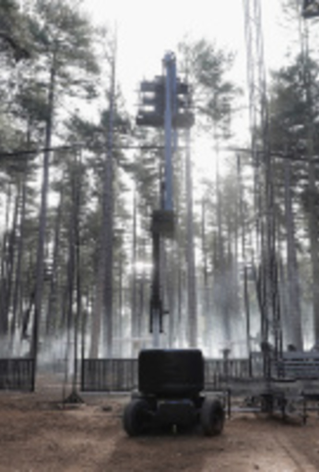 مجموعة In Bloom من Burberry