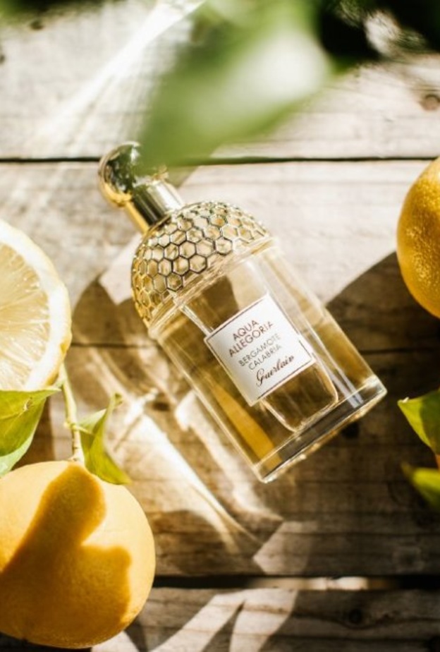 البرغموت عنصر فريد ومميزاً في عطور Guerlain