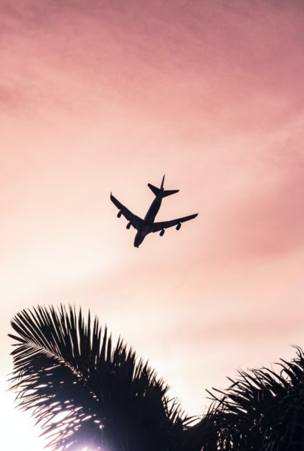  تعرف الى اهم نصائح السفر بالطائرة - Eduardo Velazco Guart