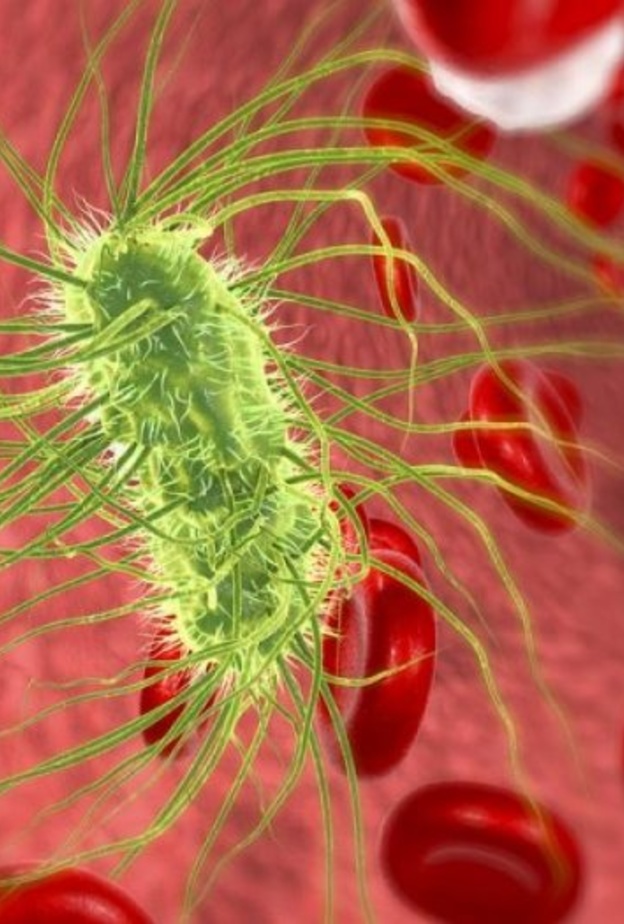 القيام بالحفاظ على نظافة وغسيل اليدين بشكل منتظم تضمن سلامتك من تسمم الدم الجرثومي