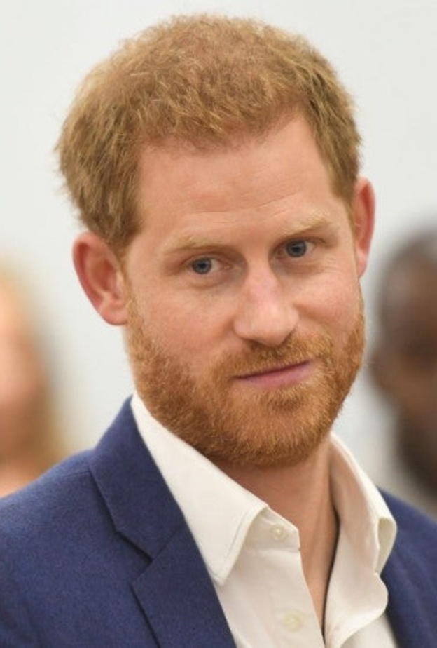 الأمير هاري