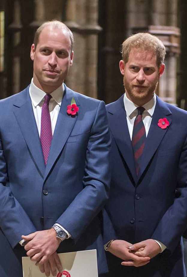 هل يحصل الأمير وليام على المناصب العسكرية التي كان يشغلها شقيقه الأمير هاري