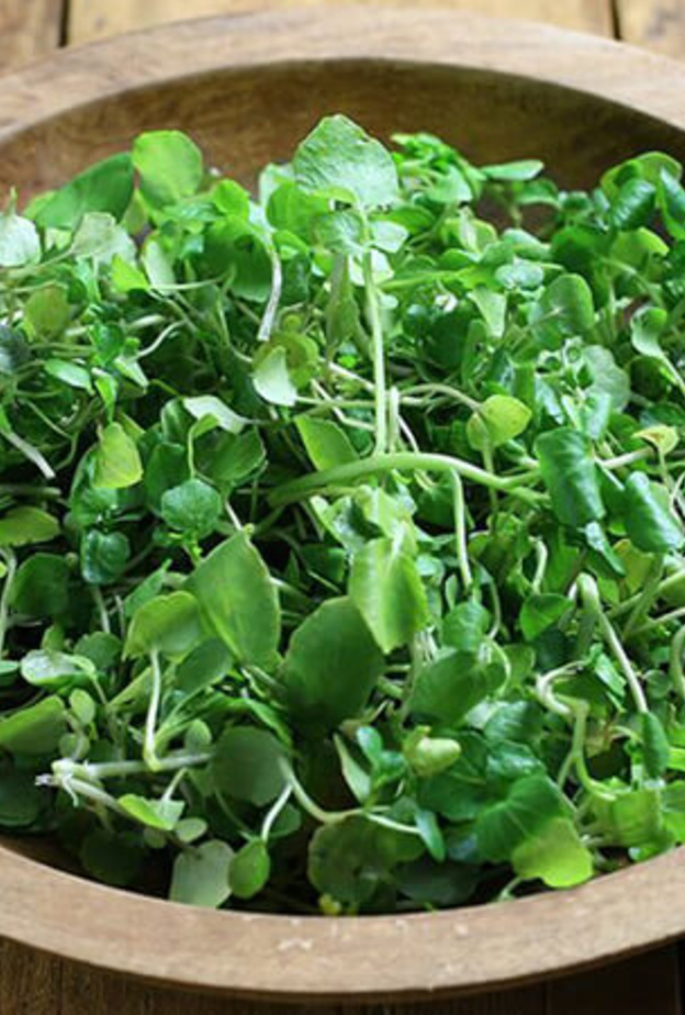 فوائد الجرجير في الوقاية من سرطان الثدي