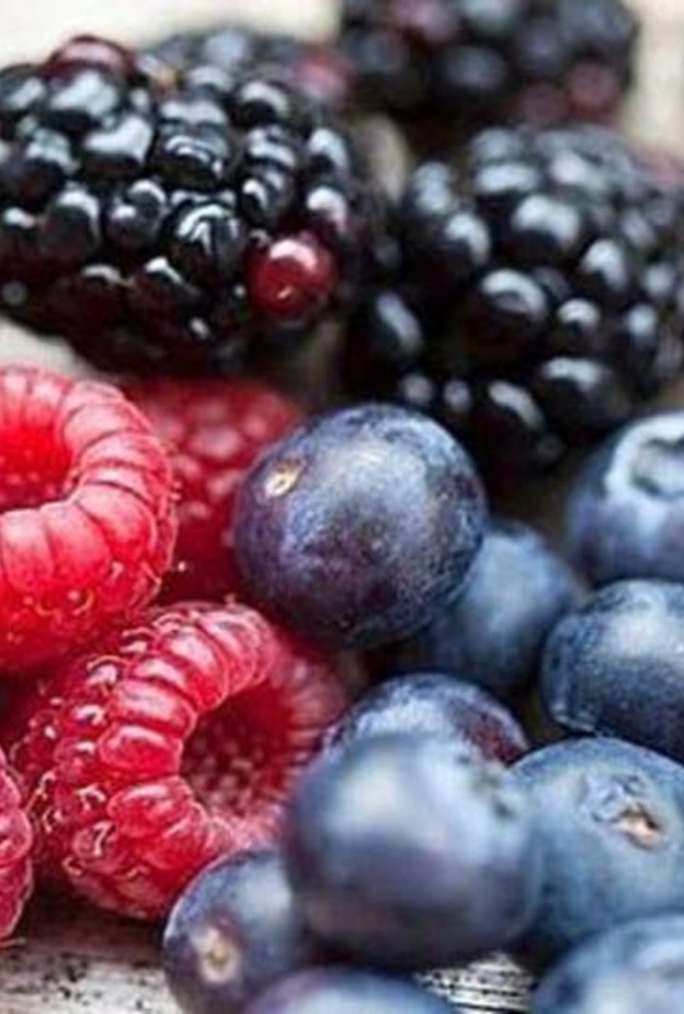 التوت البري يعتبر واحد من أفضل مضادات الأكسدة