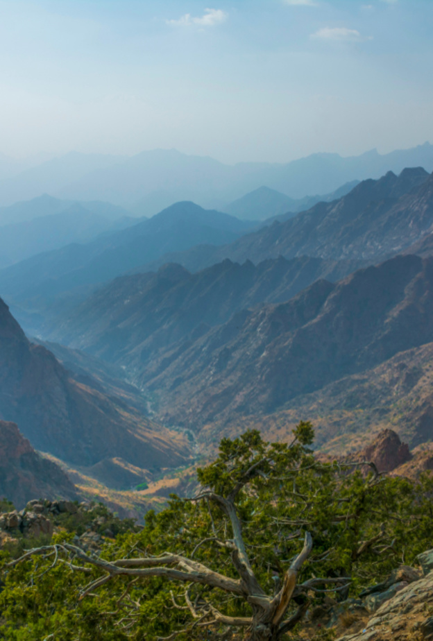 الطائف في السعودية 