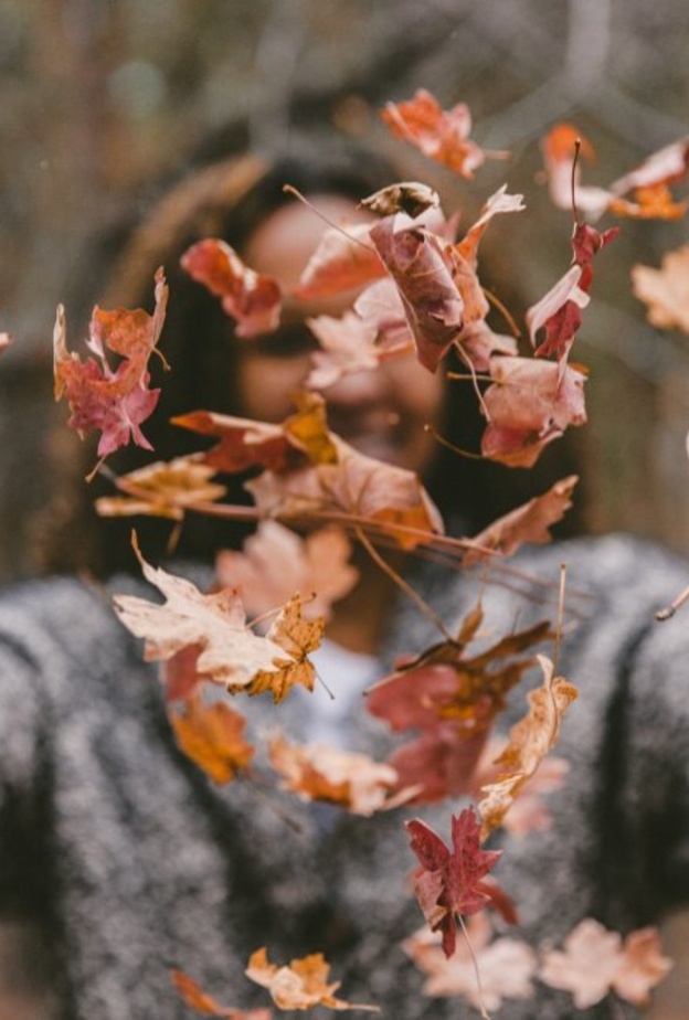  نصائح لالتقاط أجمل الصور أثناء الرحلات في الخريف - Jakob Owens