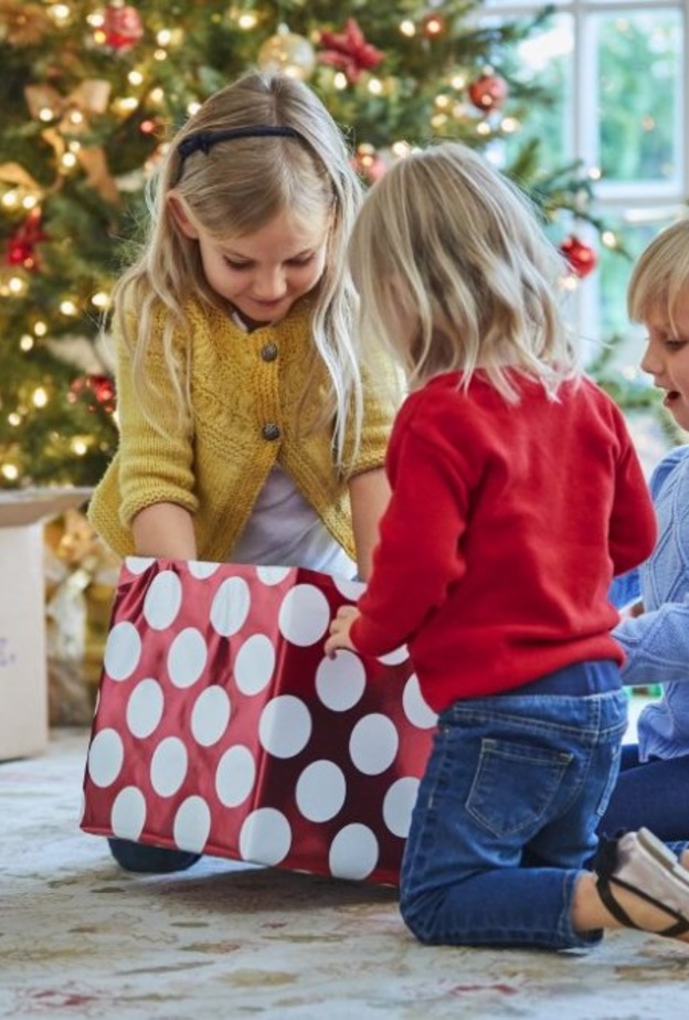  فيديكس إكسبريس