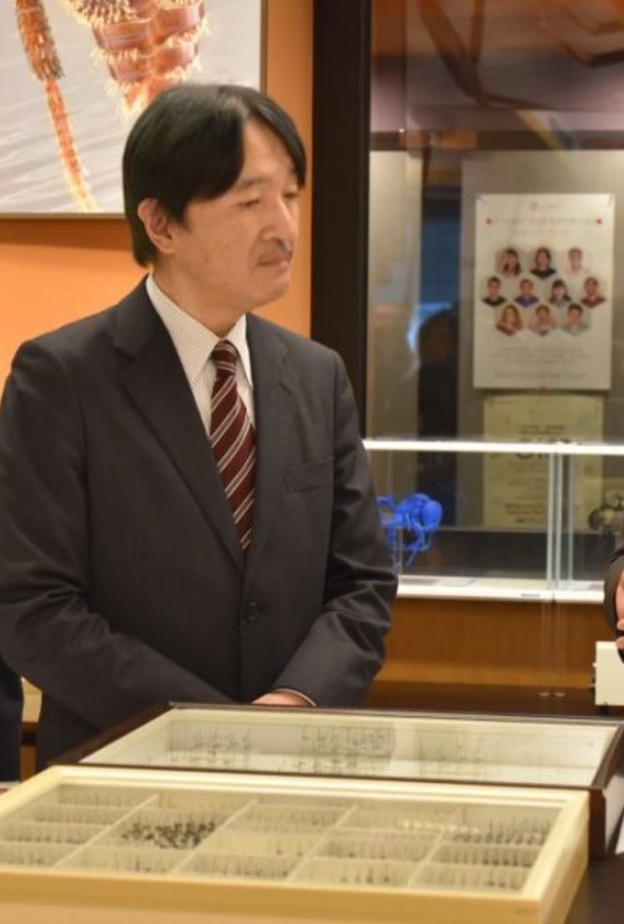 اليابان تستعد لإقامة مراسم تنصيب ولي العهد في نوفمبر القادم