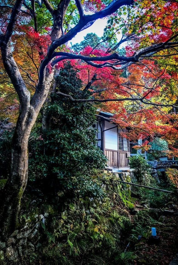 أجمل مدن الخريف