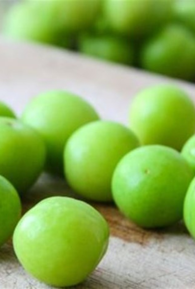 ماهي فوائد الجانريك لمرضى السكري