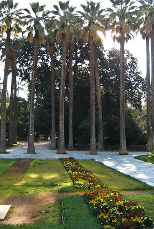 الحديقة الوطنية National Garden