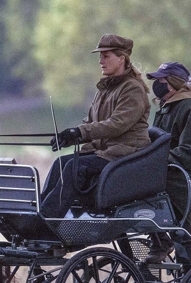 كونتيسة وسكس تقود عربة تجرها الخيول