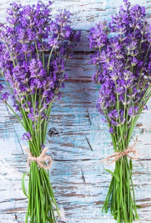 فوائد الخزامى الصحية