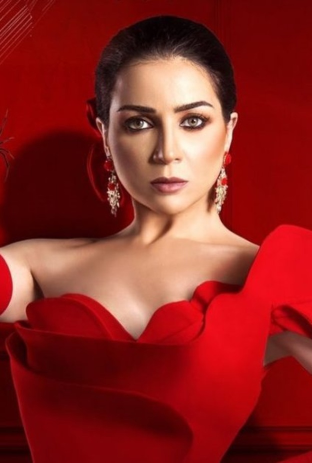 مي عز الدين 