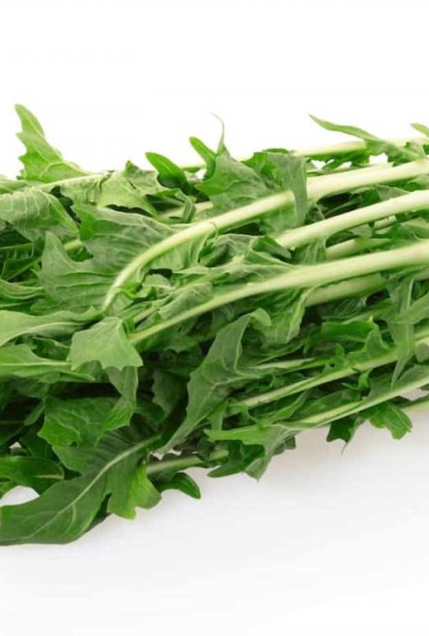  الهندباء من افضل الاعشاب الصحية لزيادة الوزن