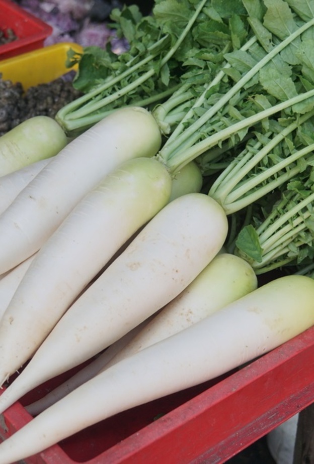 فوائد الجزر الابيض الصحية