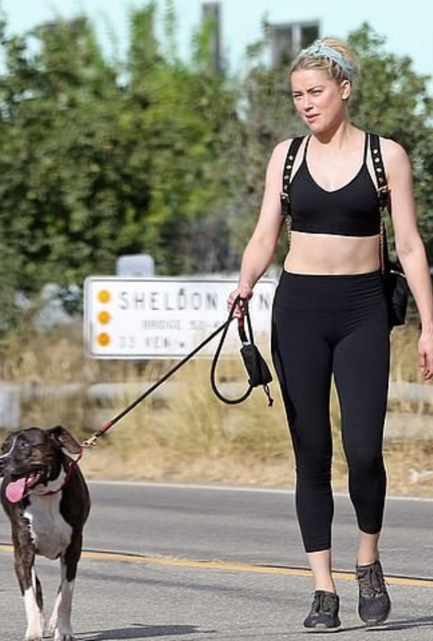 آمبر هيرد تستمتع بنزهة في لوس أنجلوس