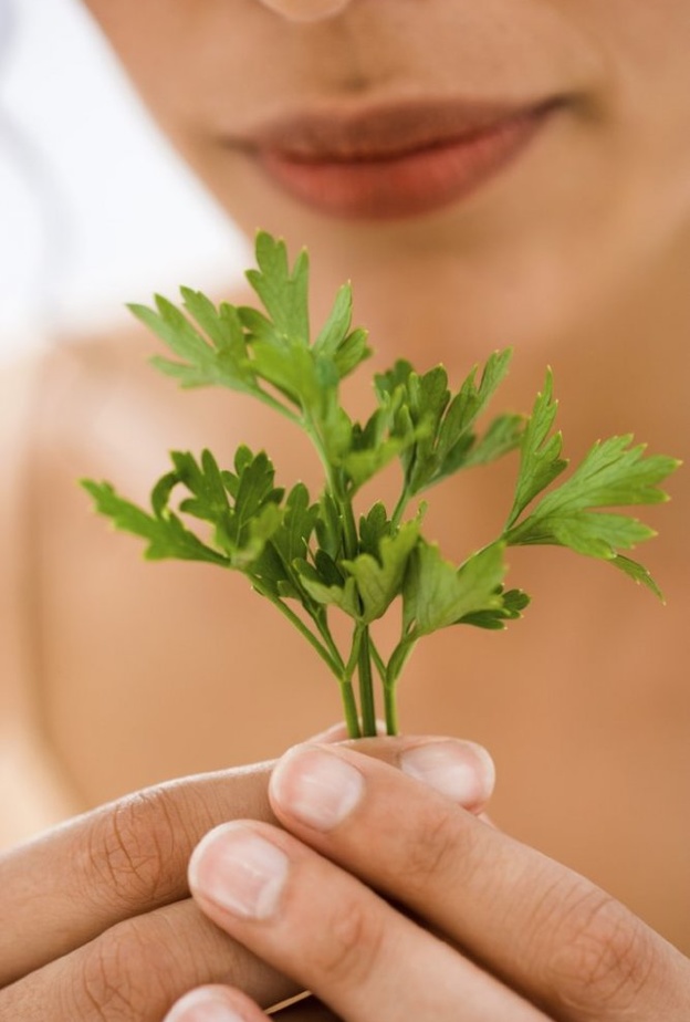 فوائد البقدونس للعروس قبل الزواج وطريقة استخدامه