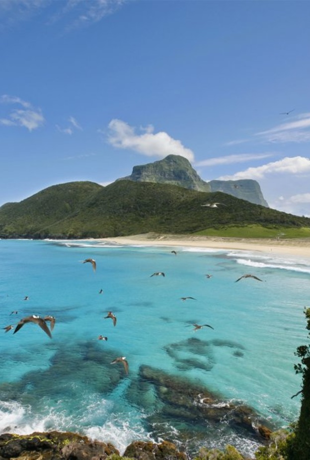 شاطئ بلينكي Blinky Beach، نيو ساوث ويلز