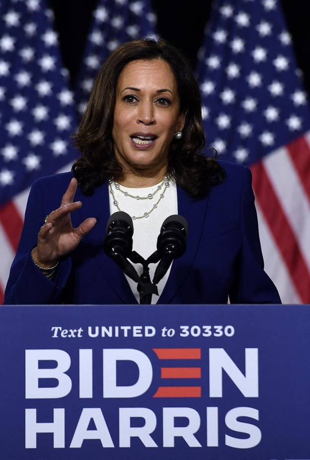 كاملا هاريس تصنع التاريخ كأول امرأة ذات بشرة سمراء تصل إلى البيت الأبيض