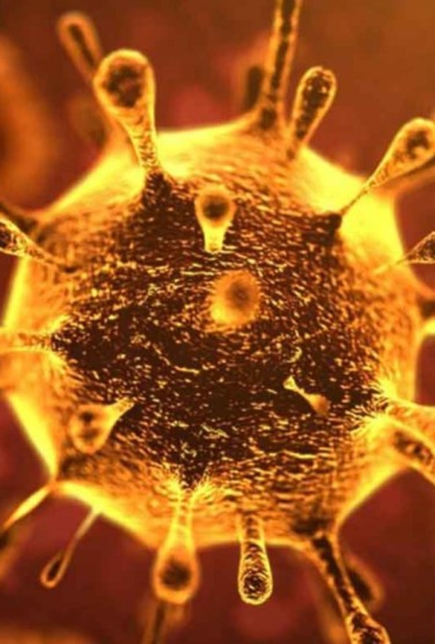 فيروس كورونا