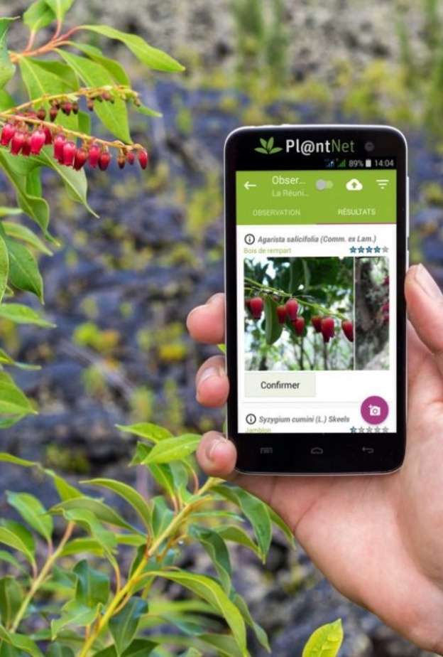 تطبيق PlantNet