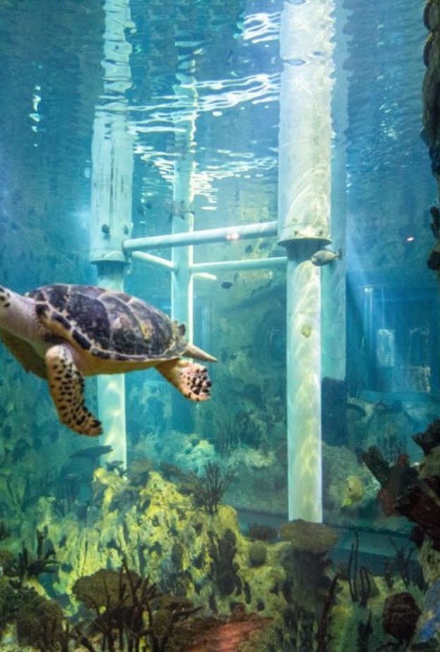 منتزه خليفة ابوظبي متنفس خلاب لسكان الإمارة