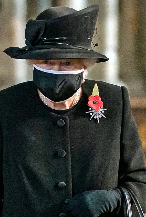 ملكة بريطانيا عليها الانتظار للحصول على لقاح كورونا