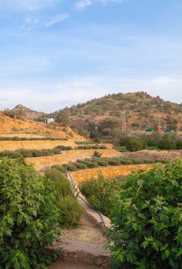 الطبيعة الخلابة تعانق السحاب في منتزه الشفا البري "الصورة من وكالة الأنباء السعودية"