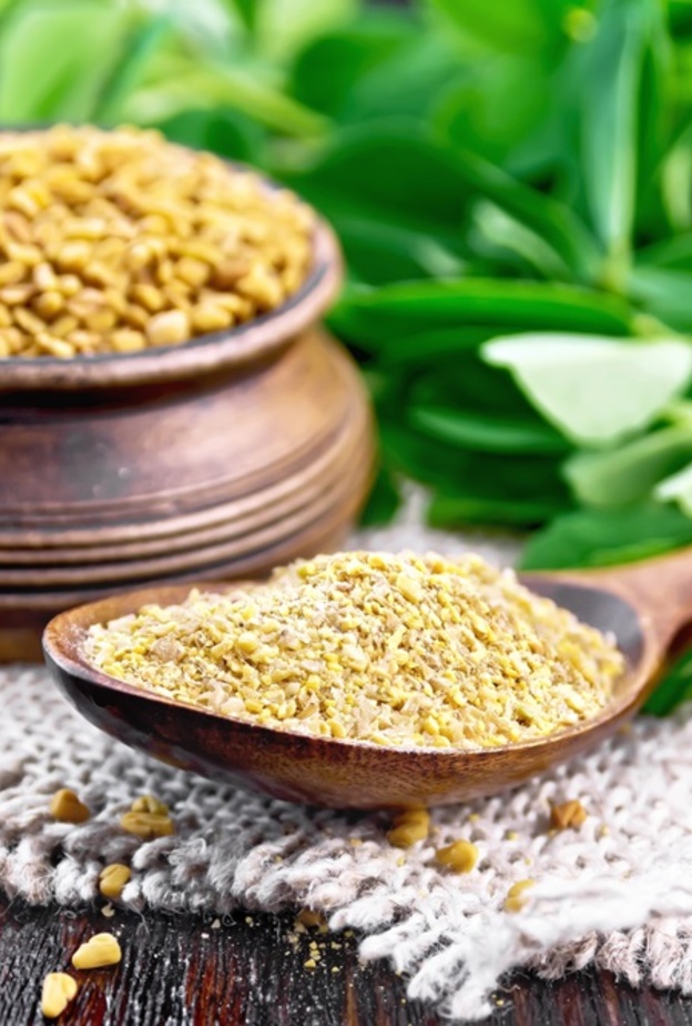 فوائد الحلبة مع الحليب