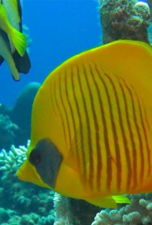 مناظر ساحرة في محافظة "حقل" -الصورة من وكالة الأنباء السعودية-