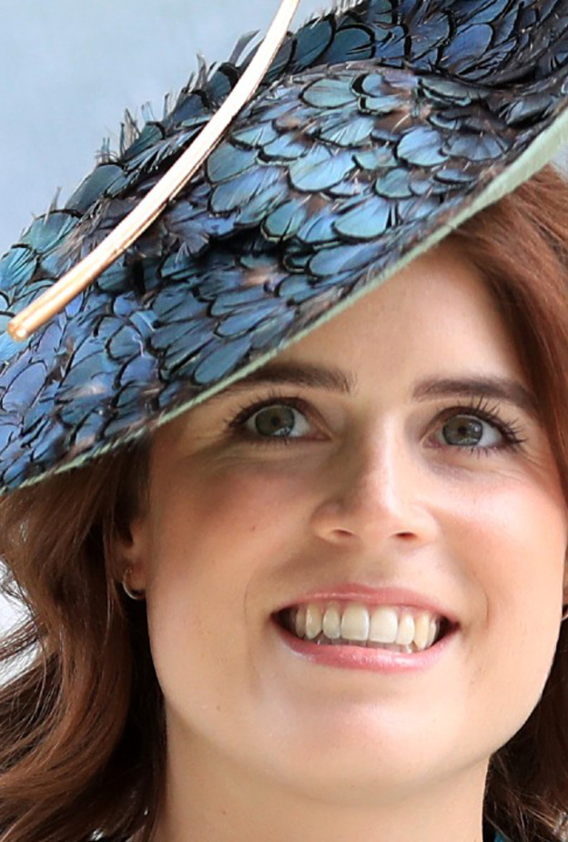 الأميرة يوجين ستحضر حفل أعياد الميلاد في مستشفيات رويال برومبتون