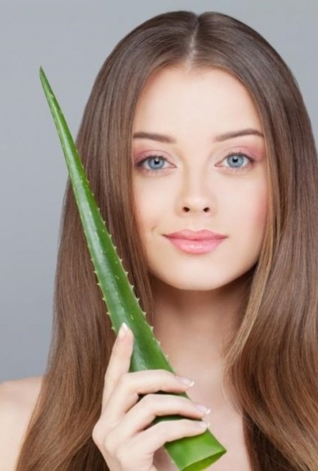 الألوفيرا لعلاج فراغات الشعر