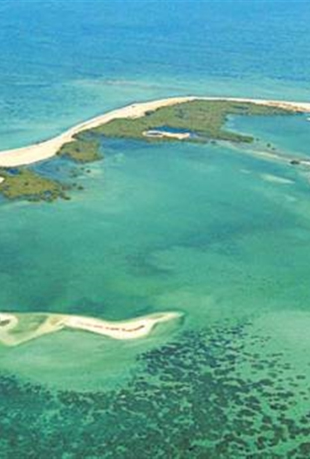 جزيرة مروح أحد أفضل الوجهات الطبيعية الإماراتية