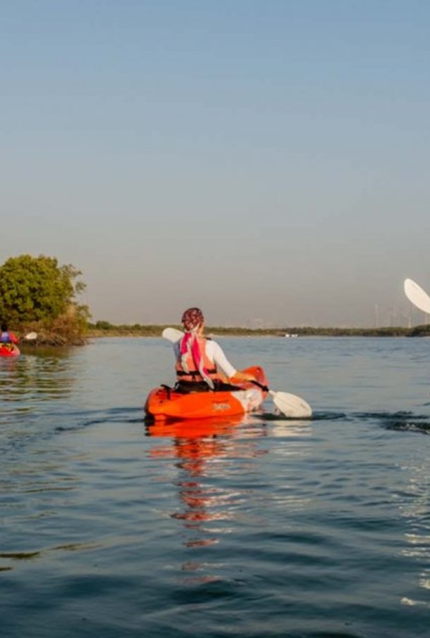  الكاياك في حديقة قرم الجبيل.. أنشطة سياحية خارجية في الإمارات