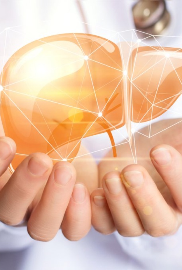 فوائد الهندباء للكبد وطريقة استخدامها