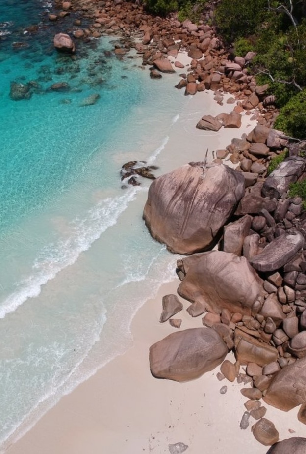 أشجار النخيل الاستوائية والتكوينات الصخرية العتيقة في سيشل بواسطة Alin Meceanu