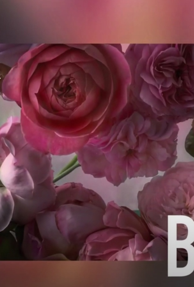 Dior In Bloom.. كتاب مخصص لعشق الأزهار